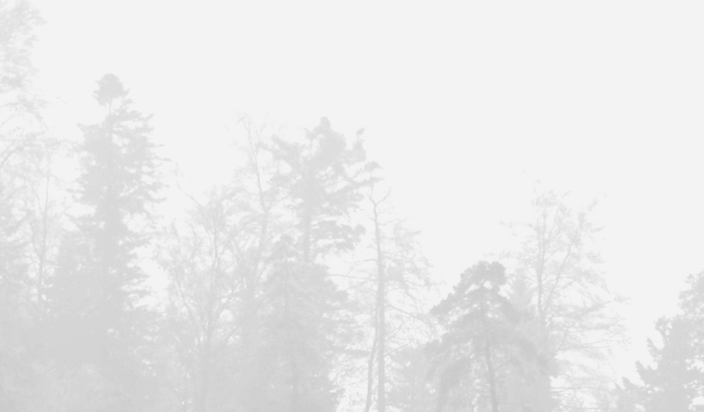 fjodor gejko - nebel fotografie landschaft